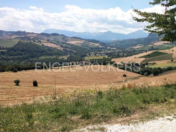 terreno agricolo in vendita a Montelparo