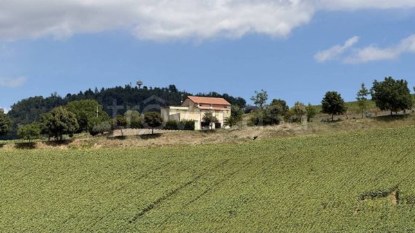 casa indipendente in vendita a Montelparo