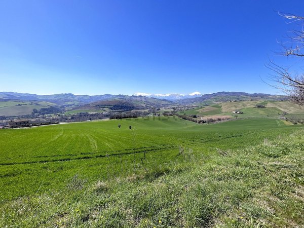 terreno agricolo in vendita a Montelparo