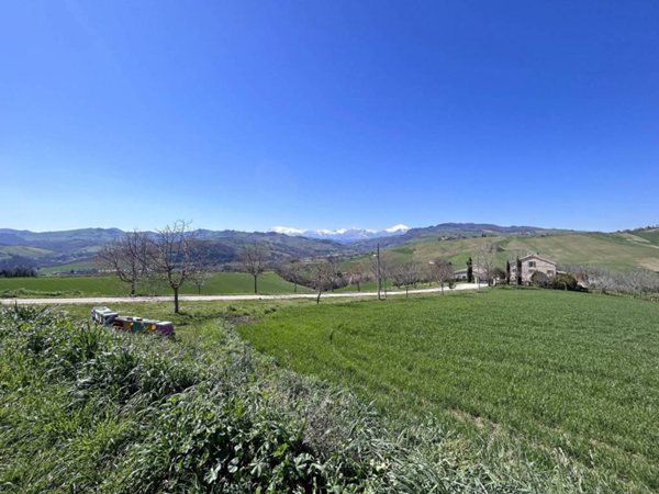 terreno agricolo in vendita a Montelparo
