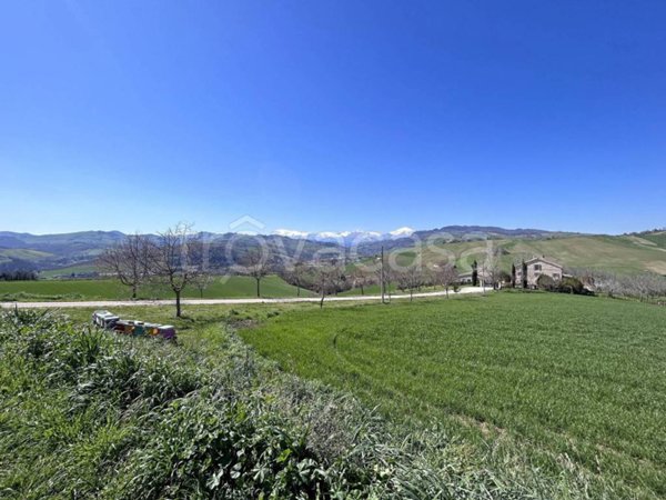 terreno agricolo in vendita a Montelparo