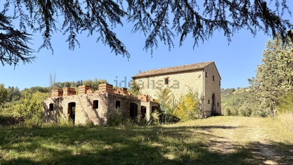 casa indipendente in vendita a Montelparo