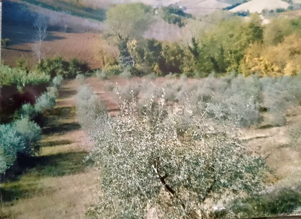 casa indipendente in vendita a Montelparo