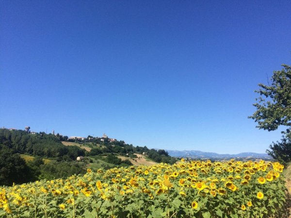 casale in vendita a Montelparo