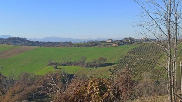 casa indipendente in vendita a Monterubbiano