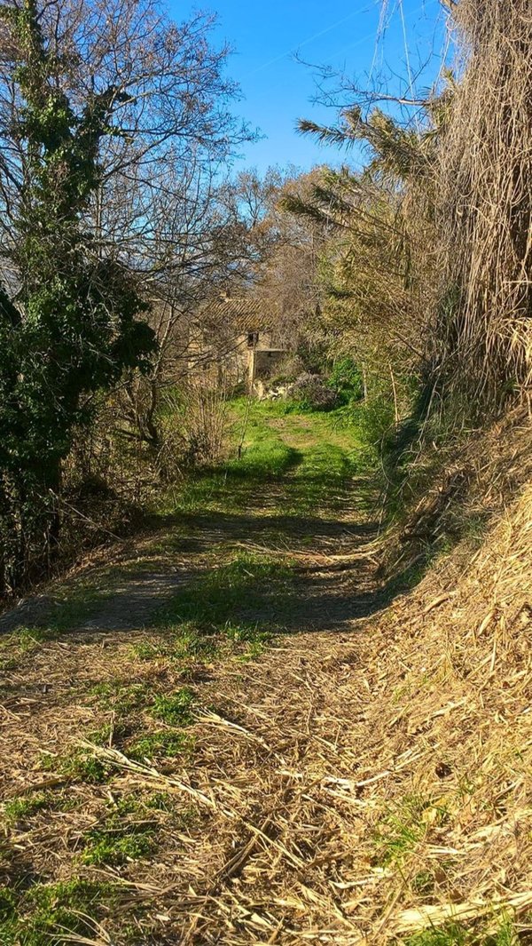 casa indipendente in vendita a Monterubbiano