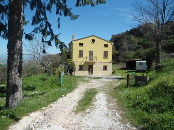 casa indipendente in vendita a Monterubbiano