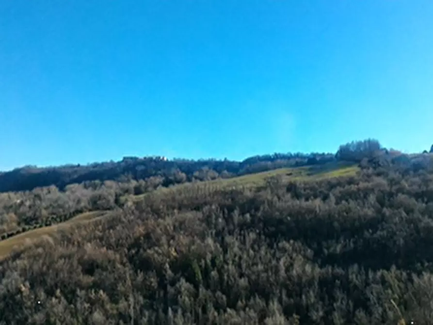 terreno agricolo in vendita a Monterubbiano