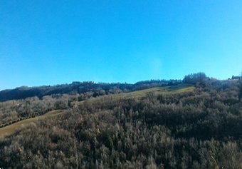 terreno agricolo in vendita a Monterubbiano