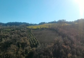 terreno agricolo in vendita a Monterubbiano