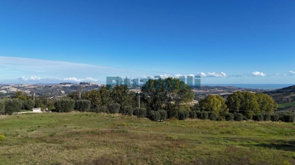 terreno agricolo in vendita a Monterubbiano