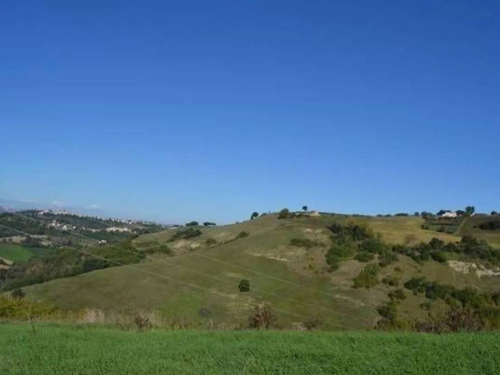 terreno agricolo in vendita a Monterubbiano