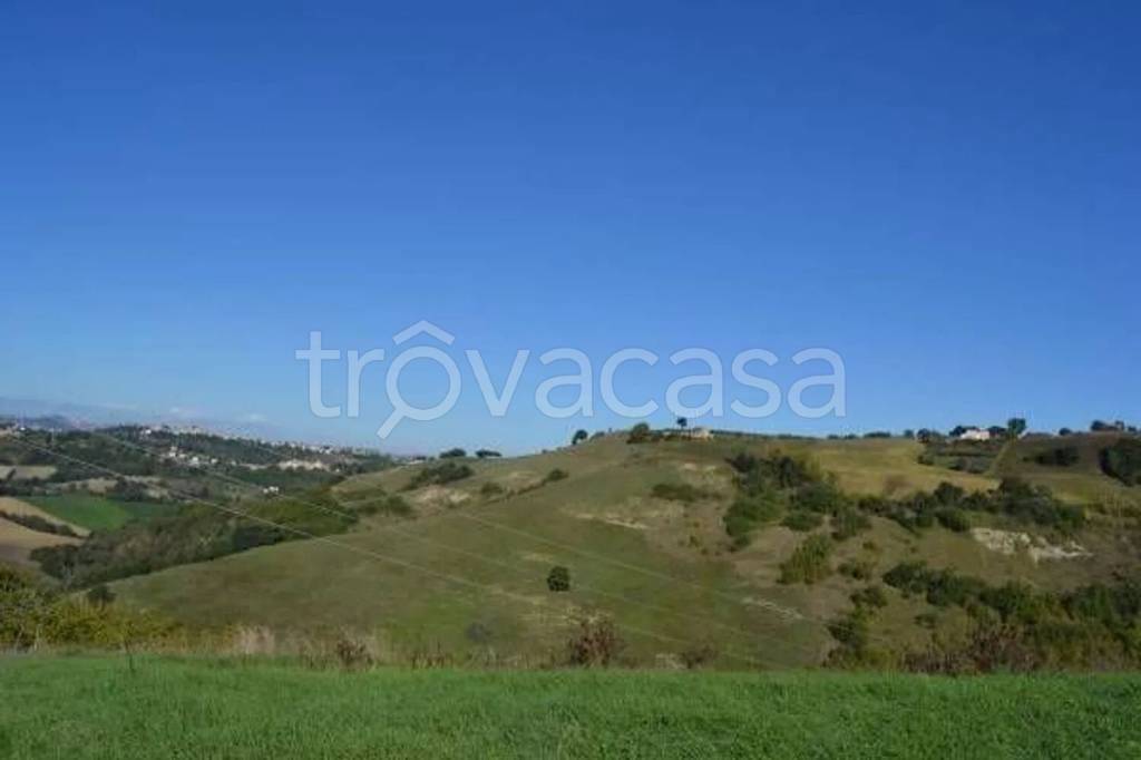 terreno agricolo in vendita a Monterubbiano