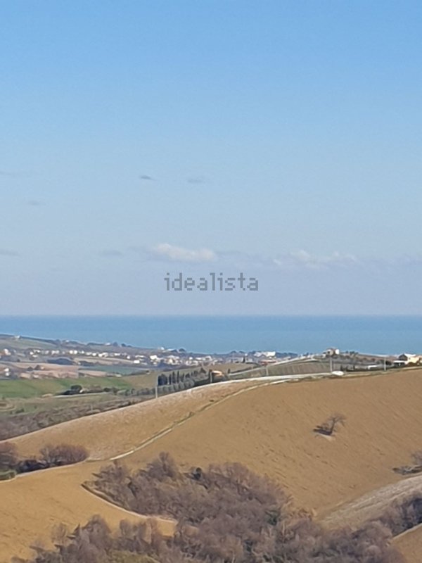 pentavano in vendita a Monterubbiano