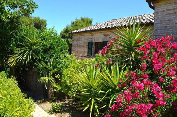 casa indipendente in vendita a Monterubbiano in zona Rubbianello