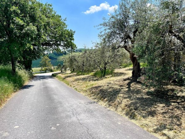 terreno agricolo in vendita a Monte San Pietrangeli