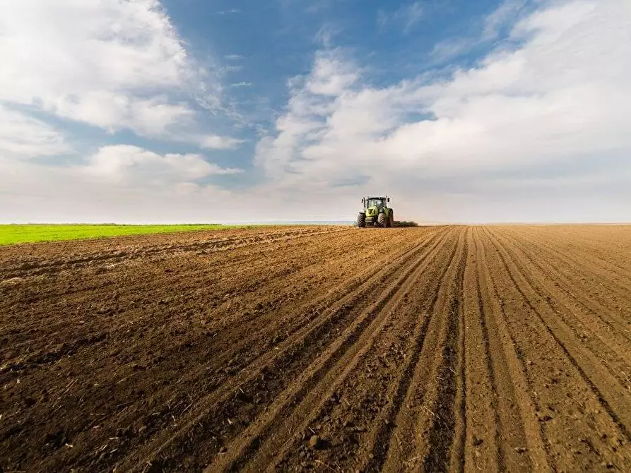 terreno agricolo in vendita a Monte San Pietrangeli
