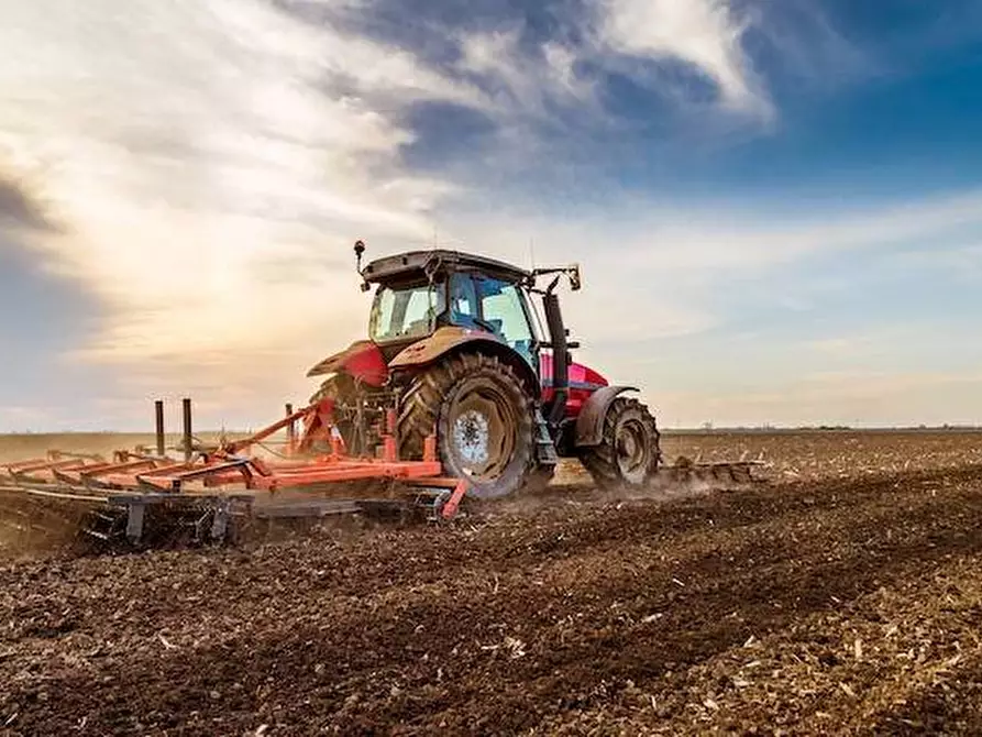 terreno agricolo in vendita a Monte San Pietrangeli
