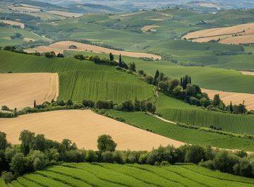 terreno agricolo in vendita a Monte San Pietrangeli