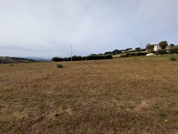 terreno agricolo in vendita a Monte San Pietrangeli