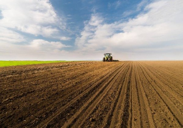 terreno agricolo in vendita a Monte San Pietrangeli