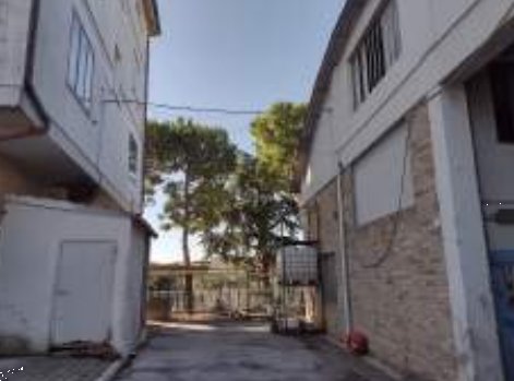 capannone in vendita a Monte San Pietrangeli