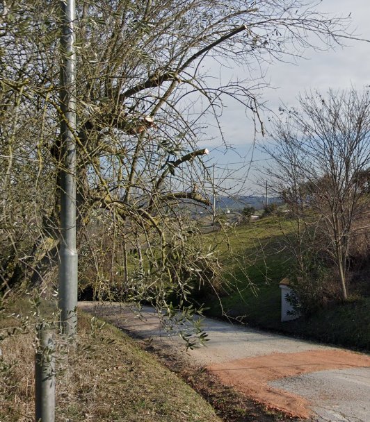terreno agricolo in vendita a Monte San Pietrangeli