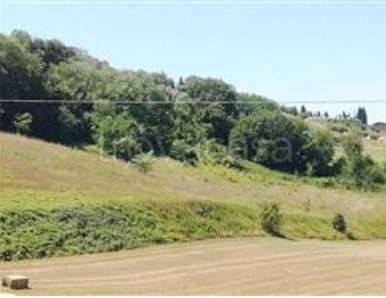 terreno agricolo in vendita a Monte San Pietrangeli