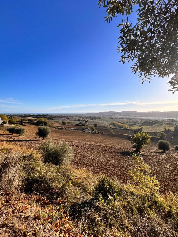 casa indipendente in vendita a Monte Urano