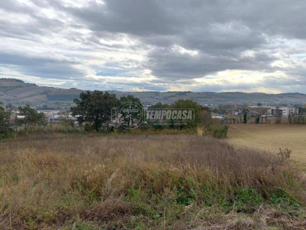 terreno agricolo in vendita a Monte Urano