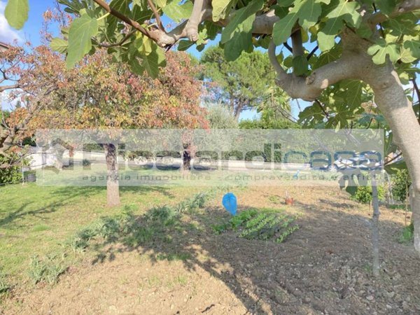 terreno agricolo in vendita a Monte Urano