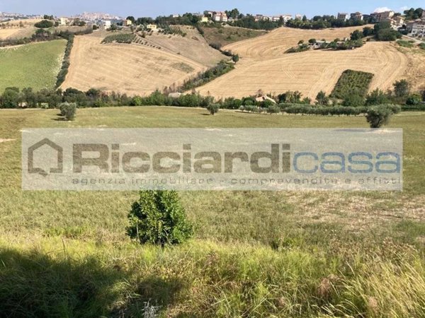 terreno agricolo in vendita a Monte Urano