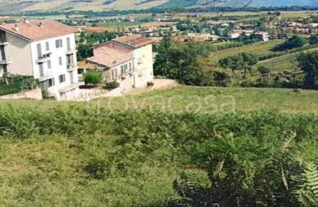 terreno agricolo in vendita a Monte Urano