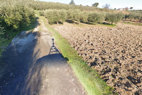 terreno agricolo in vendita a Monte Urano