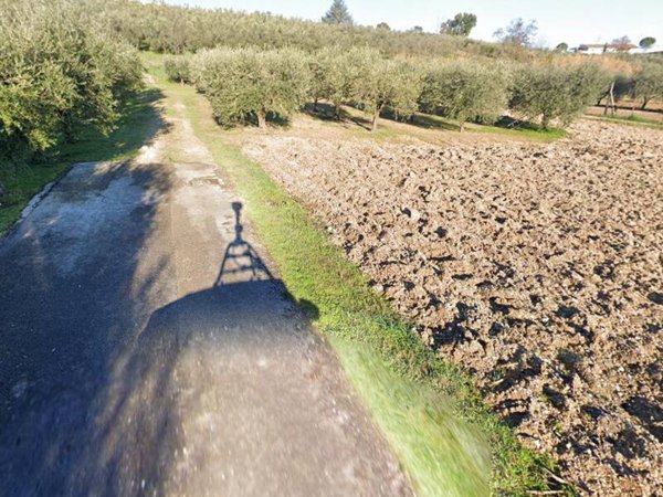 terreno agricolo in vendita a Monte Urano