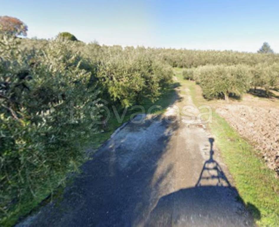 terreno agricolo in vendita a Monte Urano