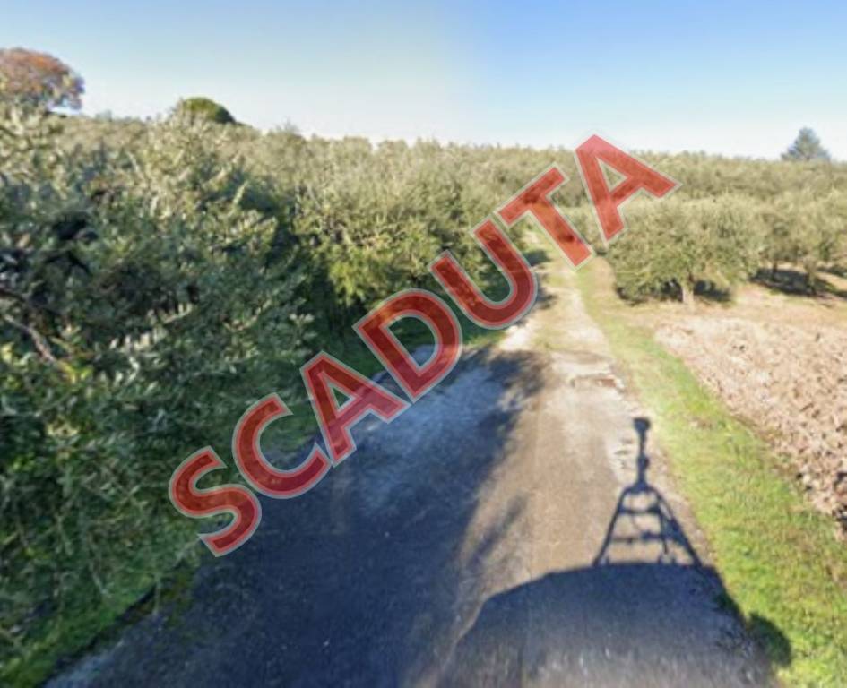terreno agricolo in vendita a Monte Urano