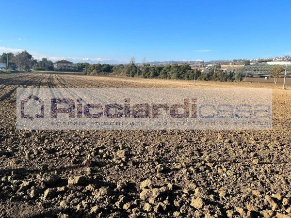 terreno agricolo in vendita a Monte Urano