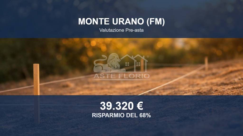 terreno agricolo in vendita a Monte Urano