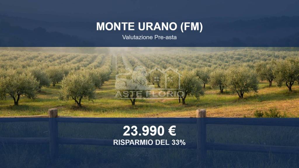 terreno agricolo in vendita a Monte Urano