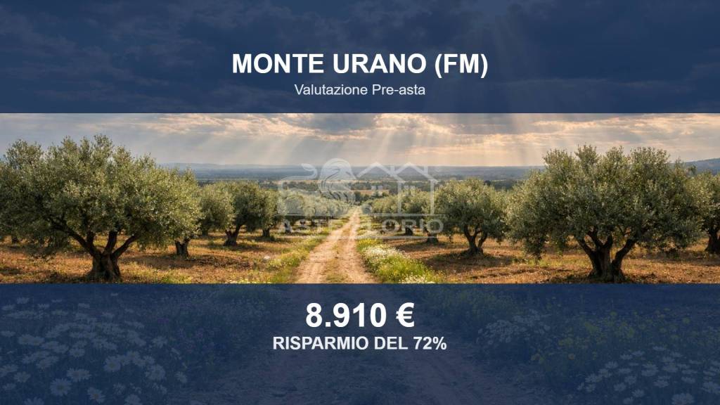 terreno agricolo in vendita a Monte Urano