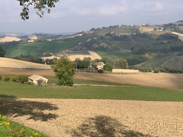 casa indipendente in vendita a Monte Vidon Combatte