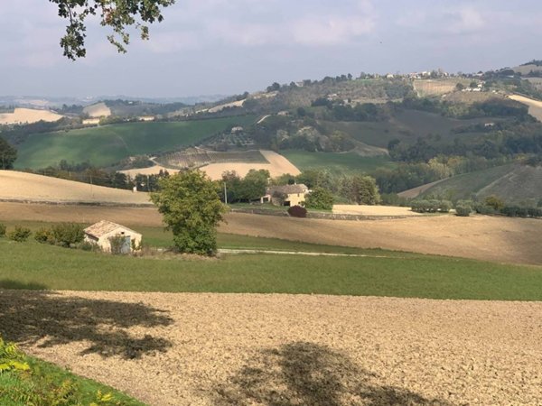 casa indipendente in vendita a Monte Vidon Combatte