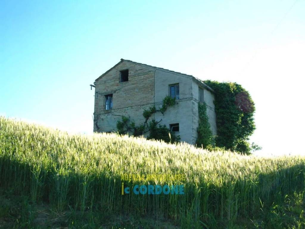 casa indipendente in vendita a Monte Vidon Combatte