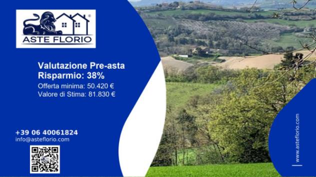 terreno agricolo in vendita a Monte Vidon Combatte in zona San Procolo