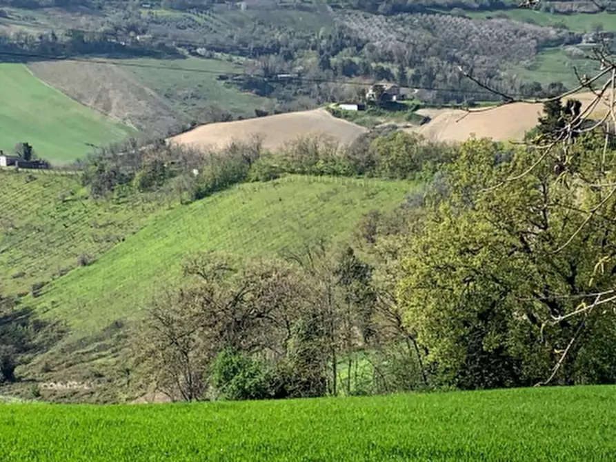 terreno agricolo in vendita a Monte Vidon Combatte in zona San Procolo