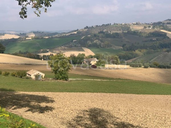 casa indipendente in vendita a Monte Vidon Combatte in zona San Procolo