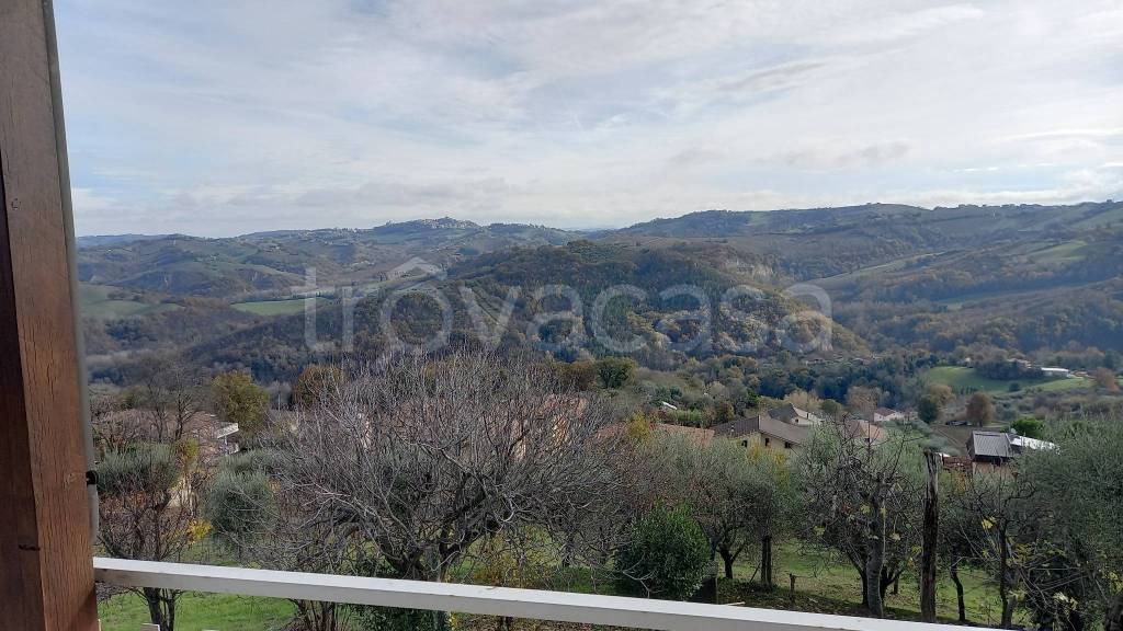 terreno agricolo in vendita a Monte Vidon Corrado