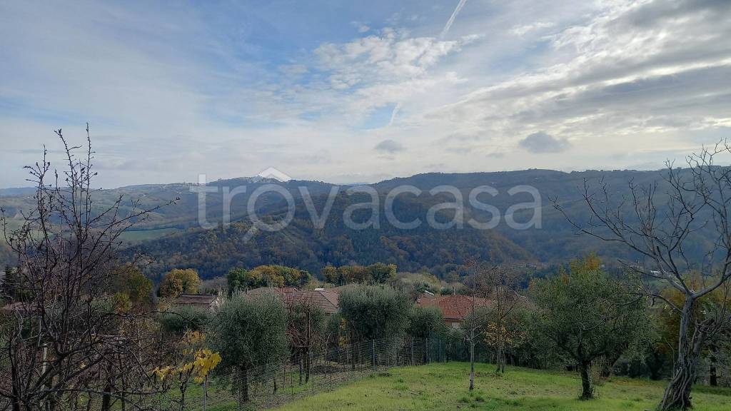 terreno agricolo in vendita a Monte Vidon Corrado