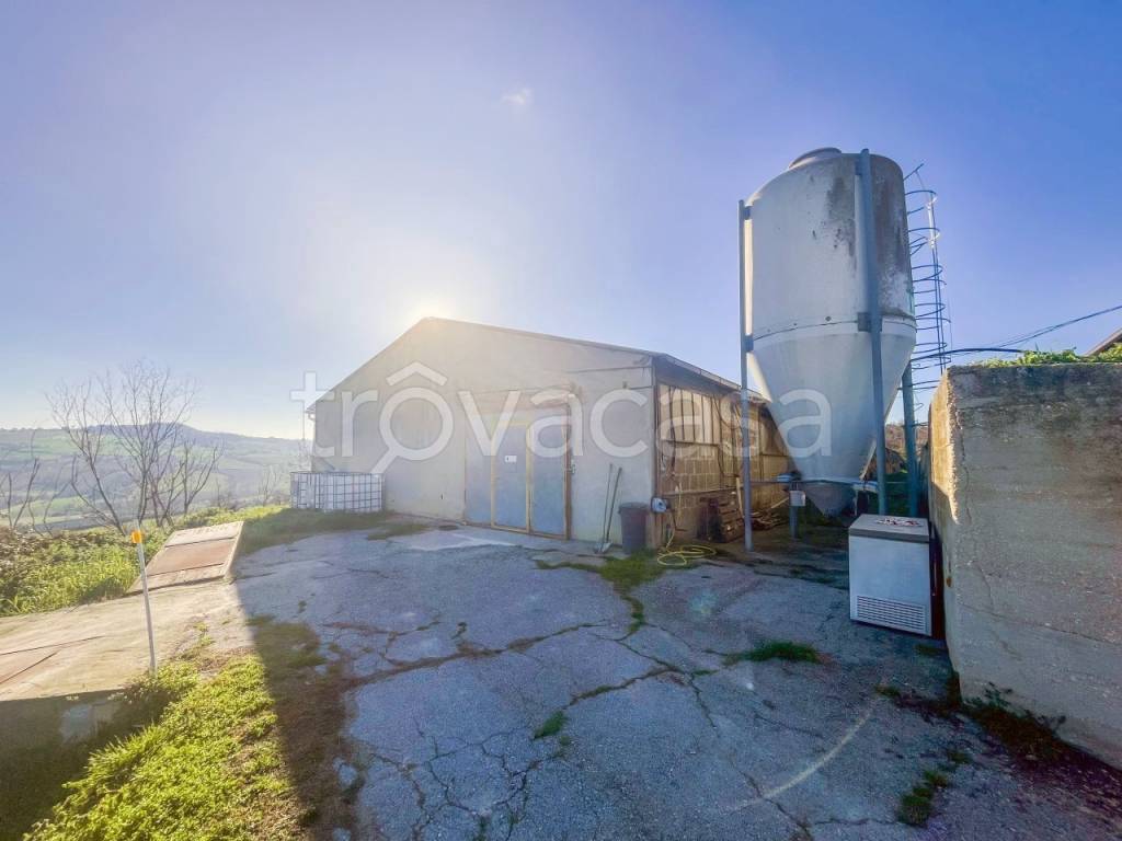 locale commerciale in vendita a Montottone